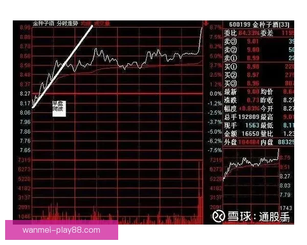 世界杯投注盘口分析技巧 如何精准把握赛事赔率与盘口变化